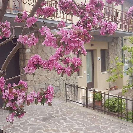La Casina Di Nonna Giulia Lägenhet Castiglione dʼOrcia Exteriör bild