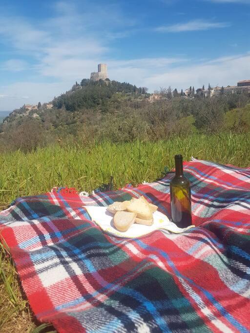 La Casina Di Nonna Giulia Lägenhet Castiglione dʼOrcia Exteriör bild