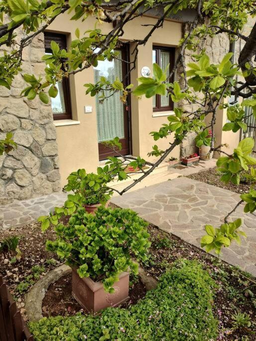 La Casina Di Nonna Giulia Lägenhet Castiglione dʼOrcia Exteriör bild