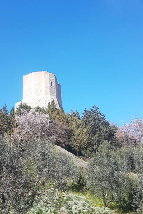 La Casina Di Nonna Giulia Lägenhet Castiglione dʼOrcia Exteriör bild