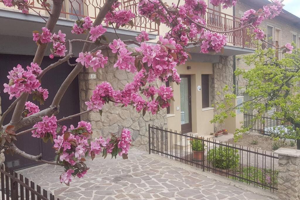 La Casina Di Nonna Giulia Lägenhet Castiglione dʼOrcia Exteriör bild